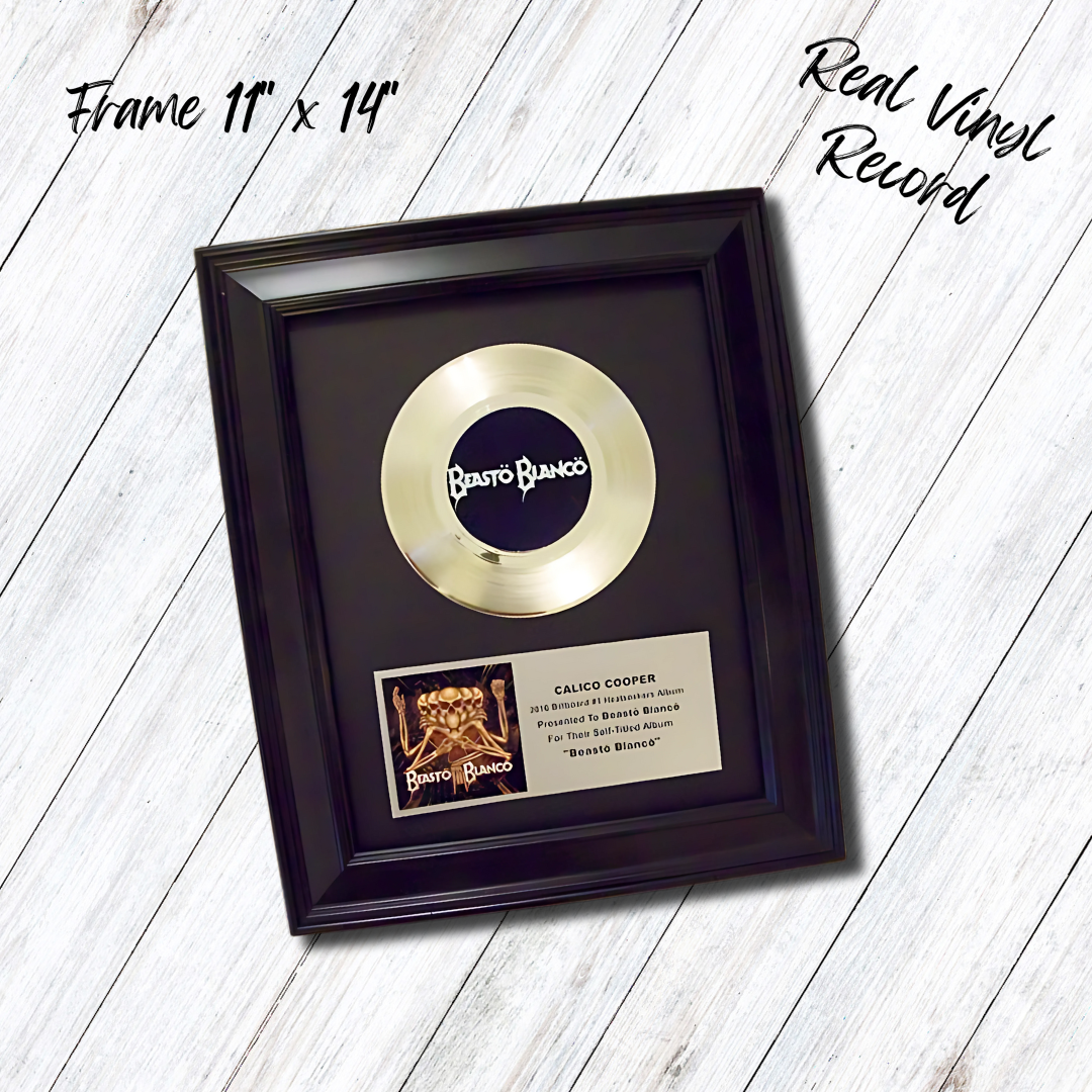 Framed Custom Gold & Platinum Real Records