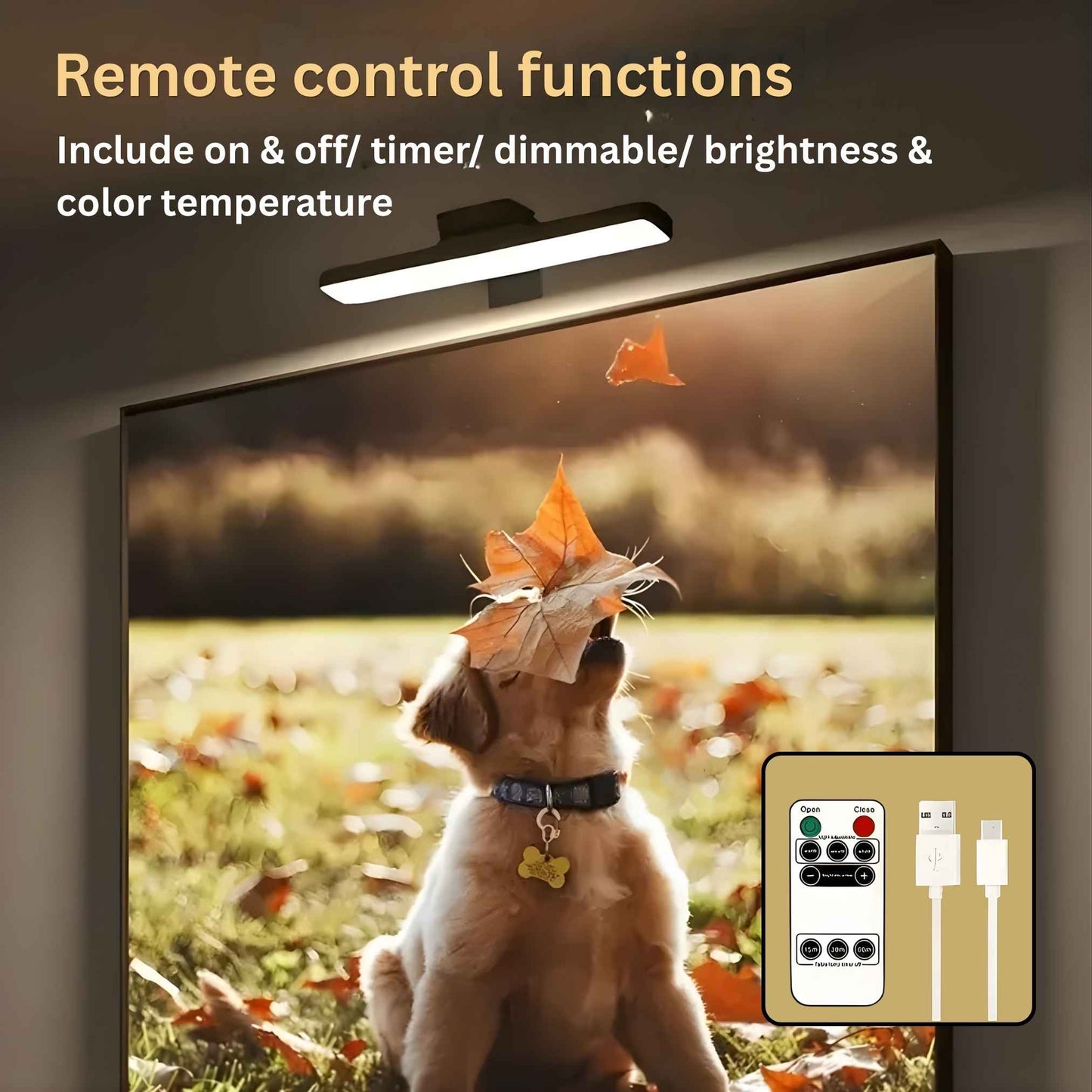 Rechargeable LED frame light, 3 color modes, dimmable, with remote