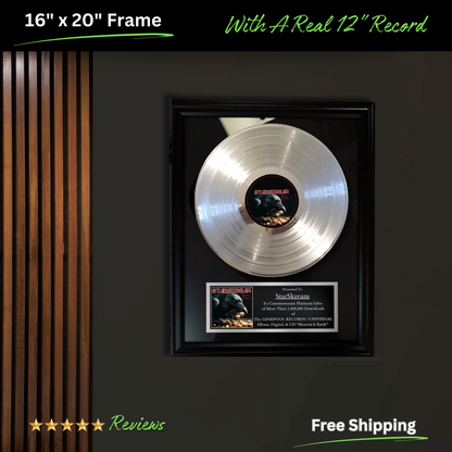 Custom Gold & Platinum Record Awards